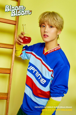 Альбом The Boyz - Bloom Bloom 2nd Single Album RANDOM Version