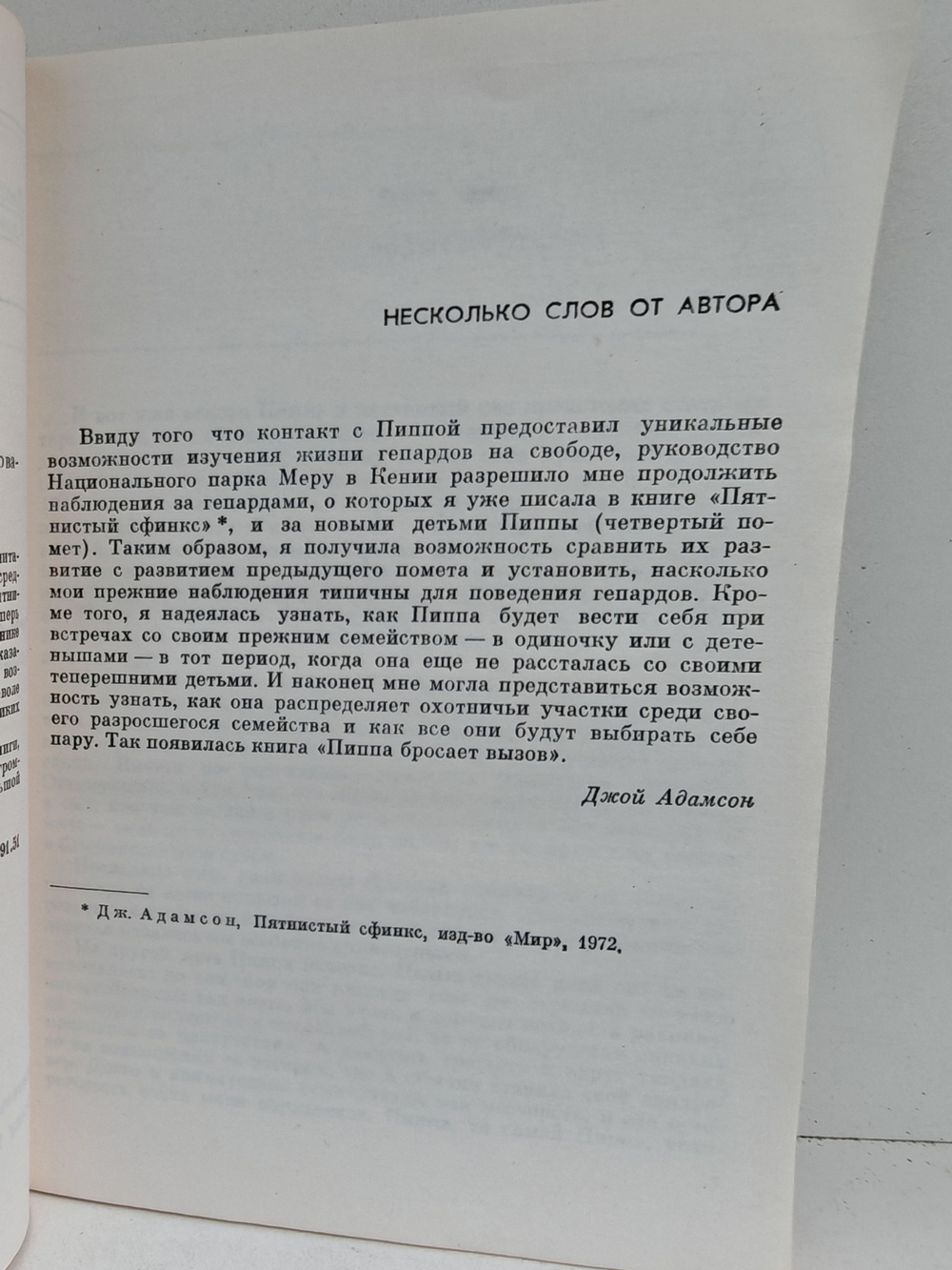 Пиппа бросает вызов