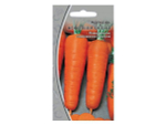 МОРКОВЬ Королева осени позднеспелый (2г) Цв.пак. (10шт)