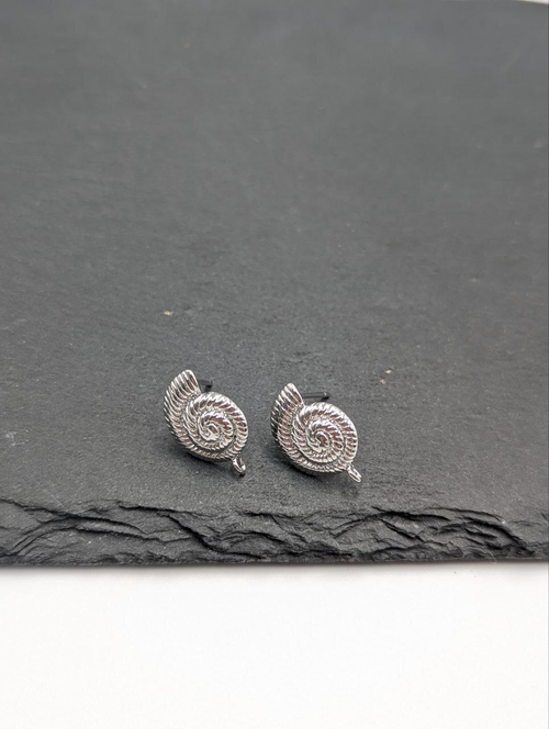 Швензы ракушка