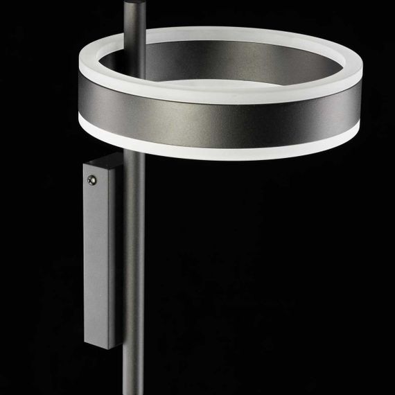 Светильник настенный Citilux Дуэт CL719311