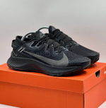 Nike Pegasus Trail 2
