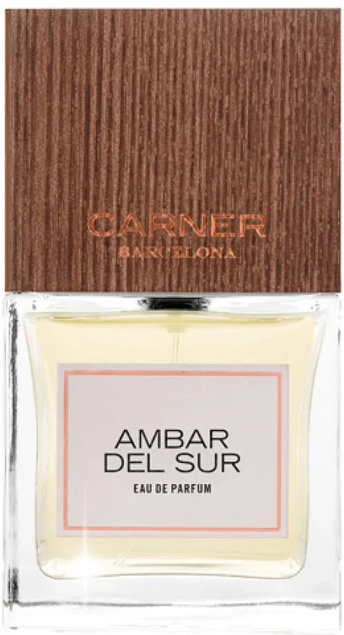 Carner Barcelona Ambar Del Sur Eau de Parfum 100 ml