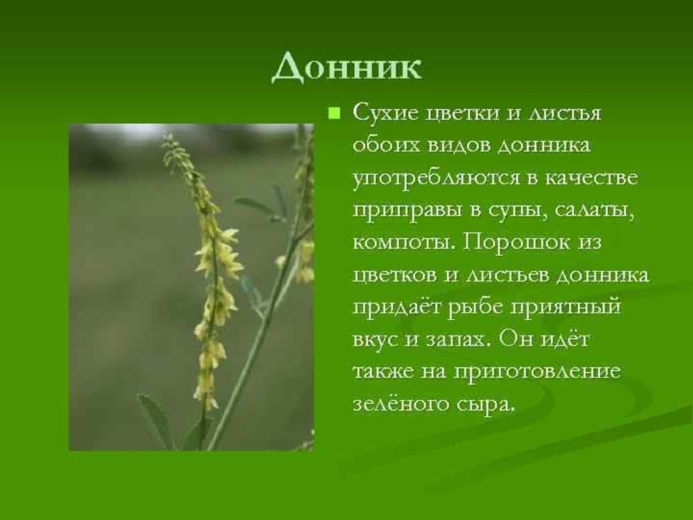 Донник Травяной сбор 60г