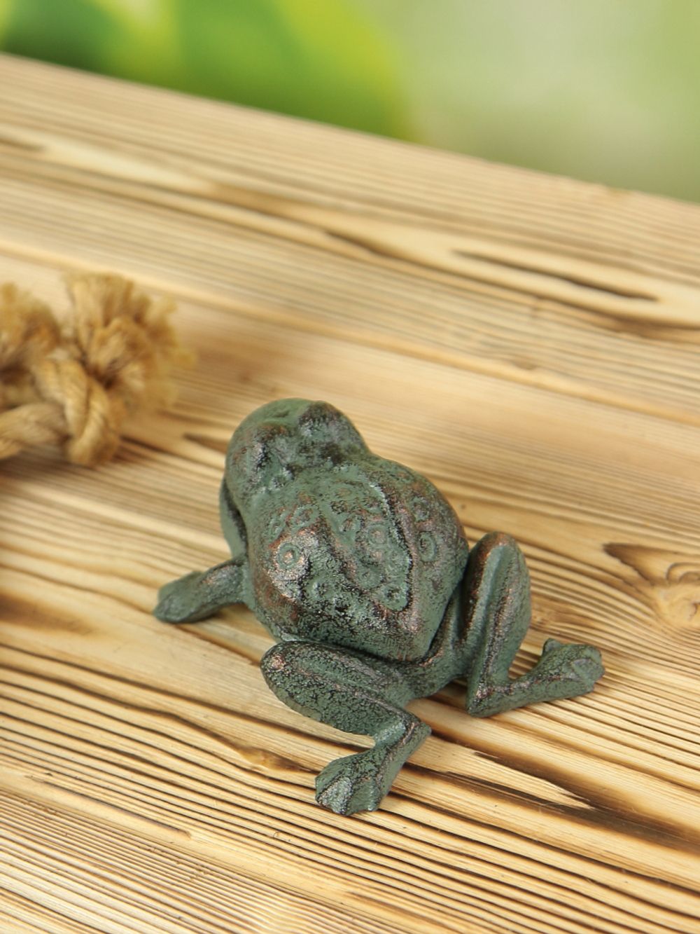 Iron Garden Шкатулка чугун Лягушка