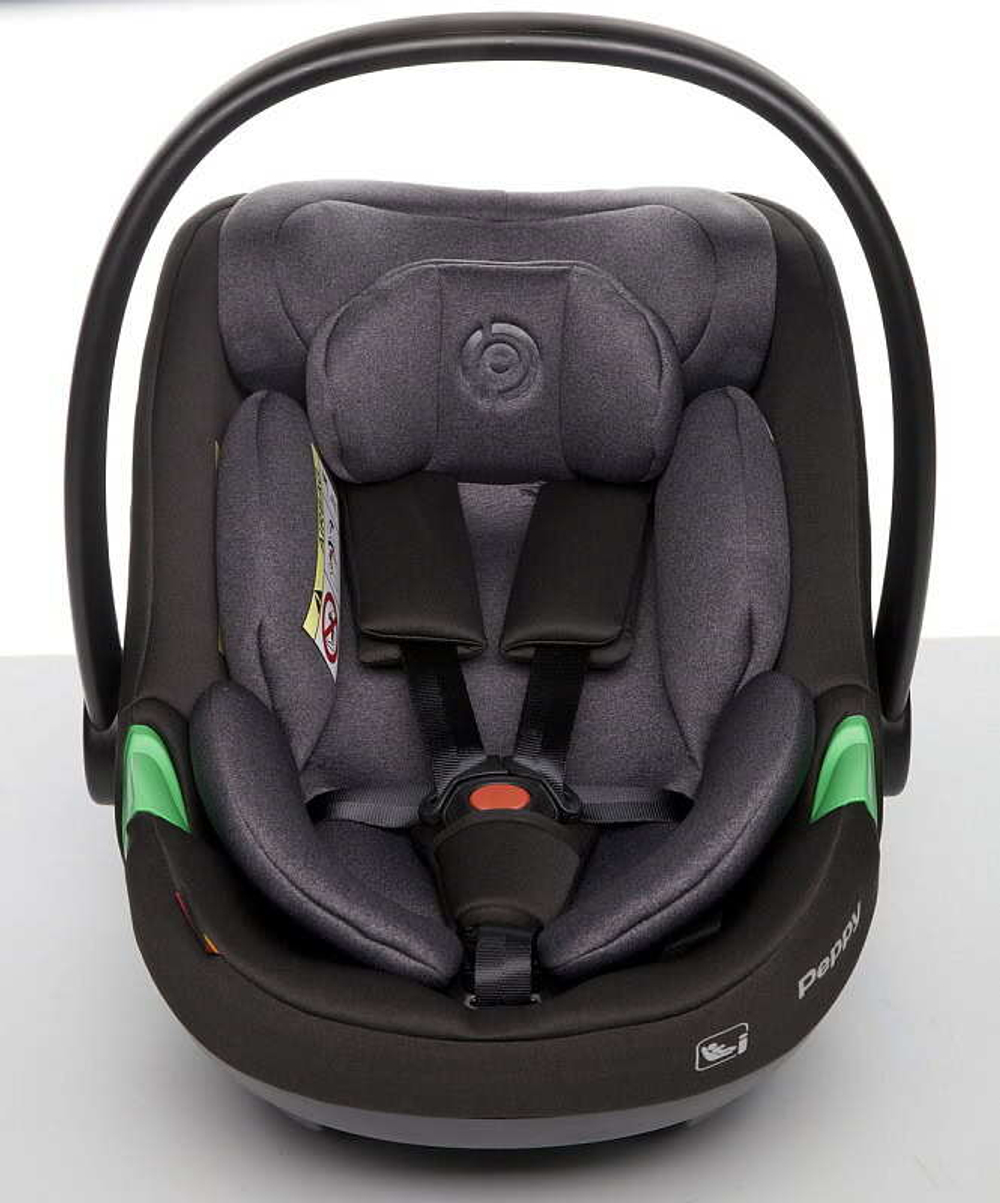 Детская коляска Peppy Monaco Thermo 3 в 1 с автокреслом First Mocco