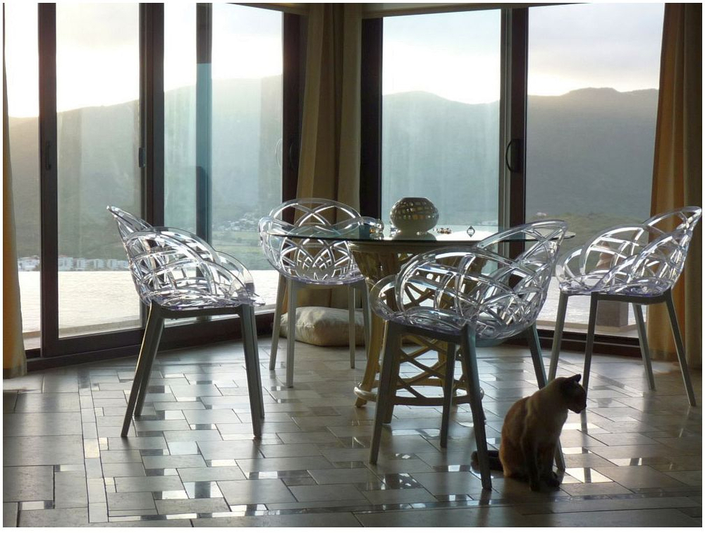 Кресло прозрачное Papatya Flora, антрацит, прозрачный