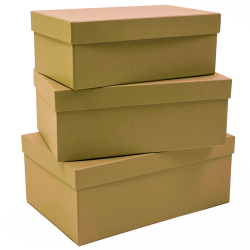 Коробка ПРЯМОУГОЛЬНАЯ 21,5*12,5*8,5