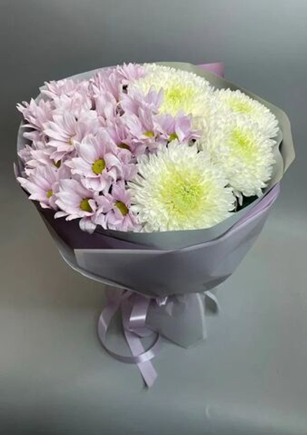 Хризантема кустовая и одноголовая