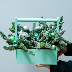 Новогодняя композиция из нобилиса 17