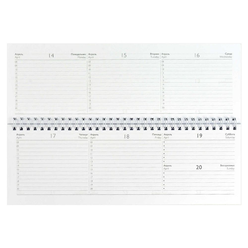 Планинг 2025г., Феникс+ Лавандовые поля, 64л, картонная обложка, 290х100мм, гребень