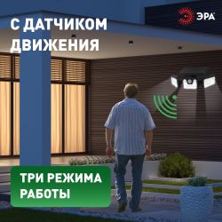 Светильник уличный ЭРА ERAFS012-05 на солнечной батарее настенный с датчиком движения | Садовые фасадные светильники