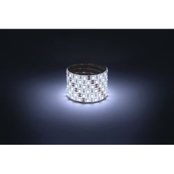 Светодиодная лента ЭРА LS5050 -14,4-60-12-6500K-IP65-1 year-5m холодный белый 5м