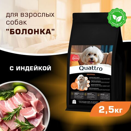 Корм сухой для взрослых собак породы Болонка, с индейкой, 2,5 кг, QUATTRO
