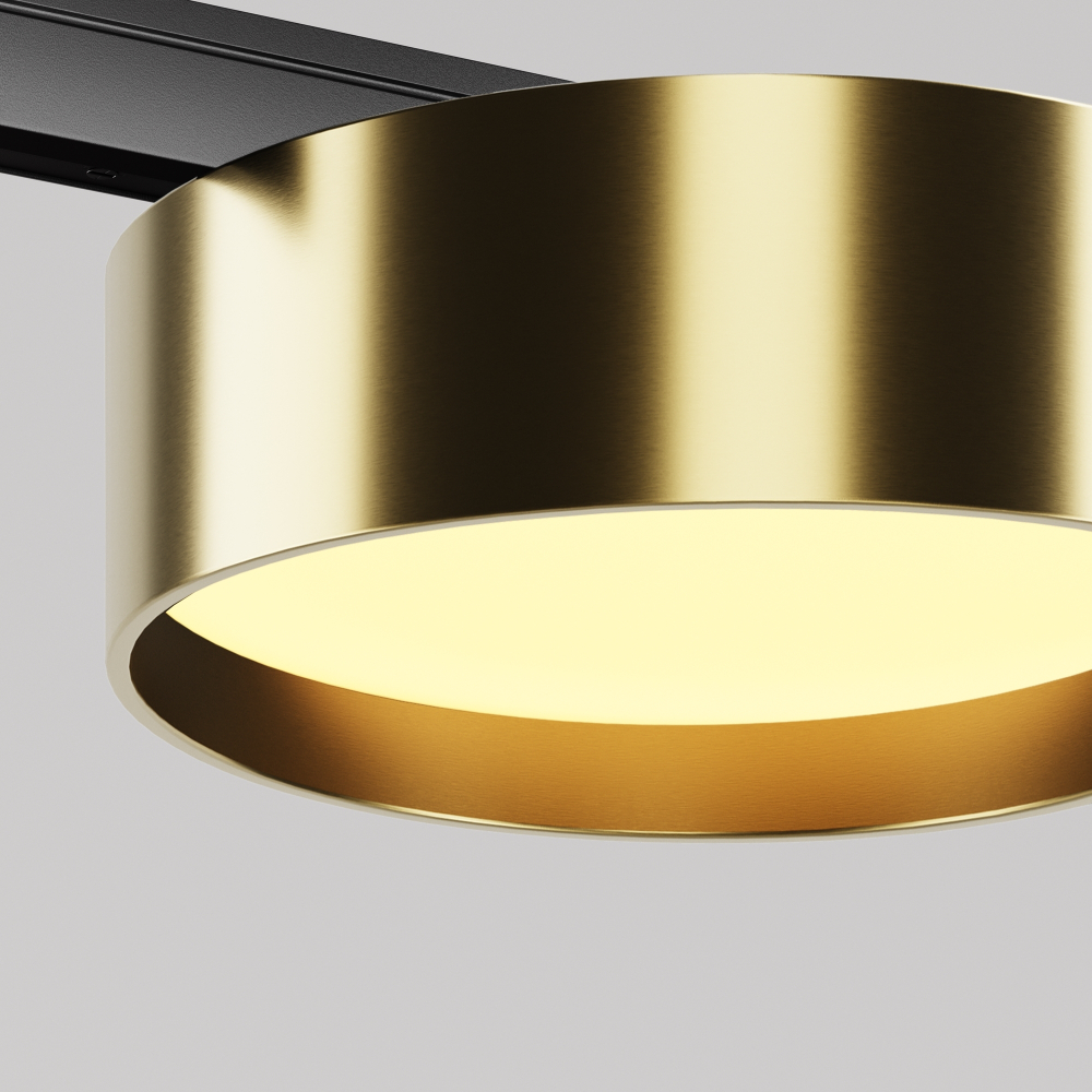 Магнитный трековый светильник Maytoni Zon TR189-1-12W2.7K-BBS