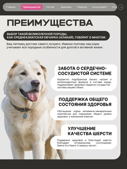 Корм сухой для взрослых собак породы Среднеазиатская овчарка (Алабай), премиум полнорационный комплекс, с говядиной, 12 кг, QUATTRO