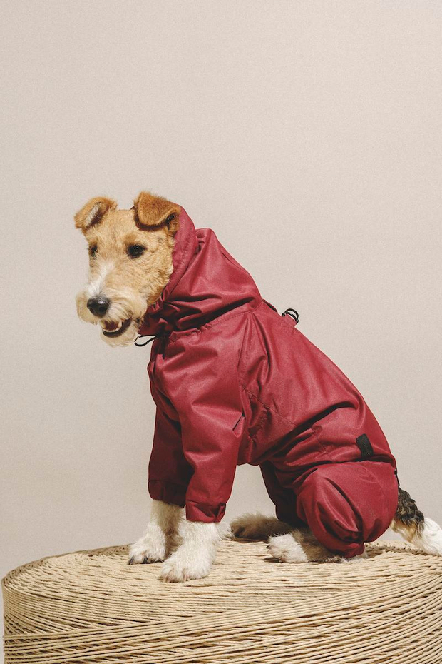 Комбинезон "Пони-комбинезони" винный