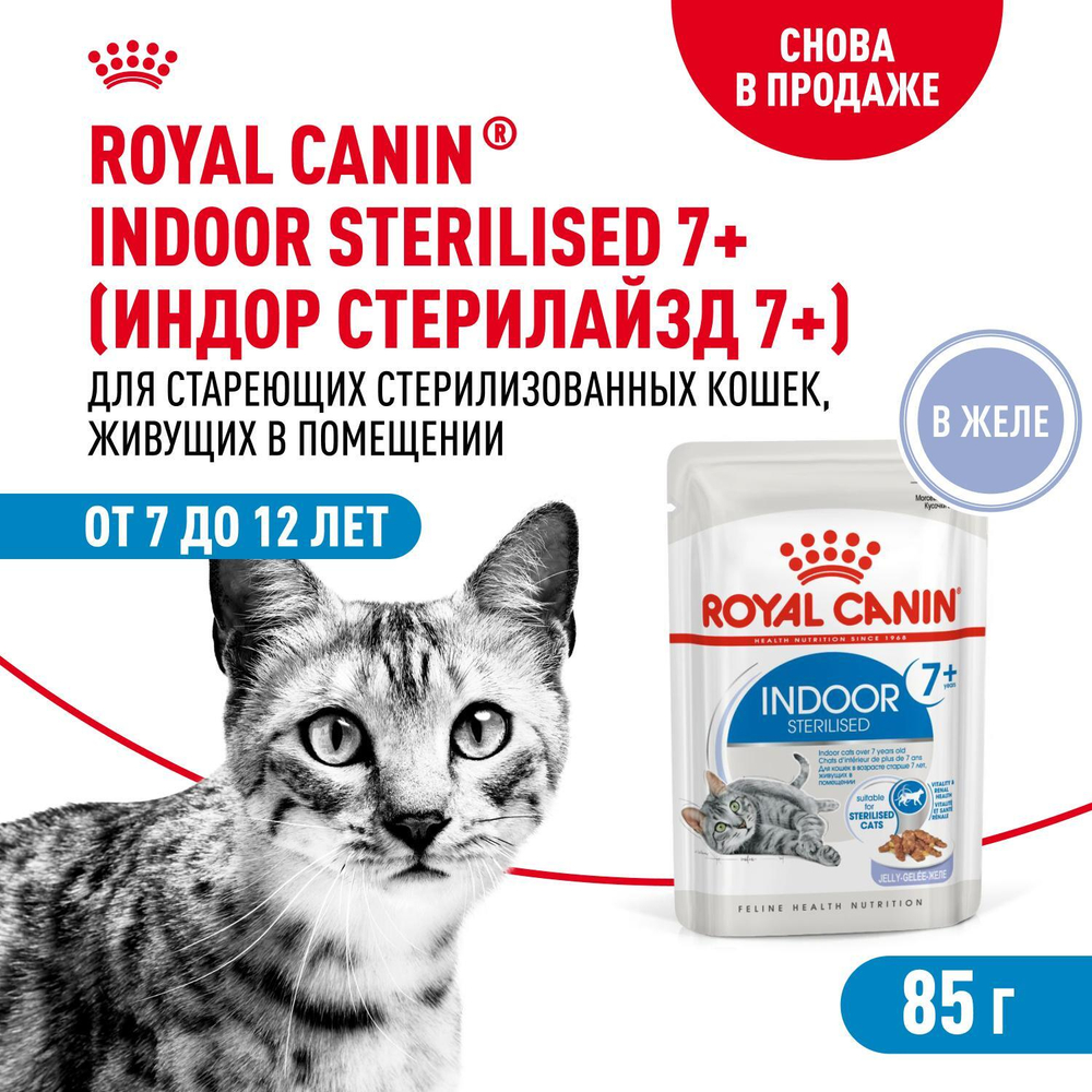Royal Canin Indoor Sterilized 7+ Корм консервированный для стареющих кошек желе 85г