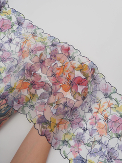 Вышивка на сетке мультиколор неэластичная ширина 25 см