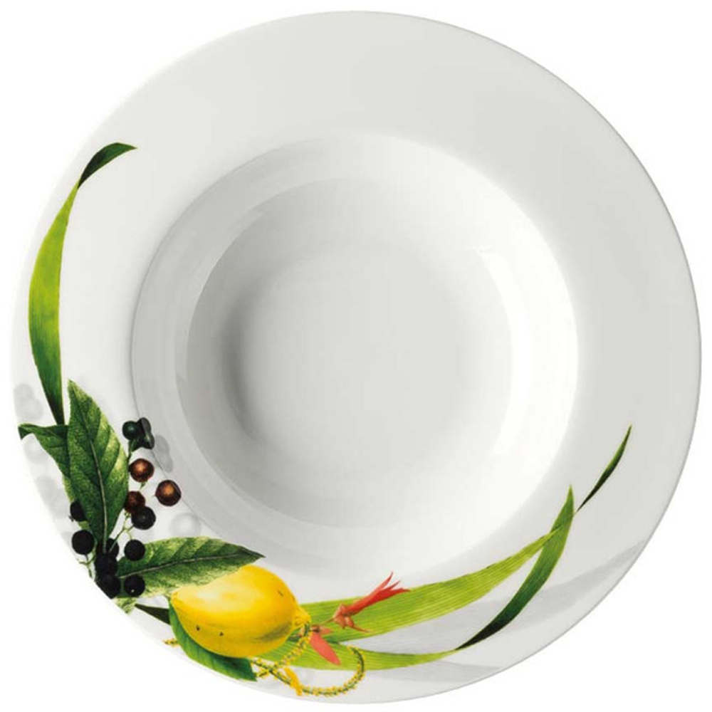Тарелка суповая с бортом 23см Rosenthal Фруктовый сад