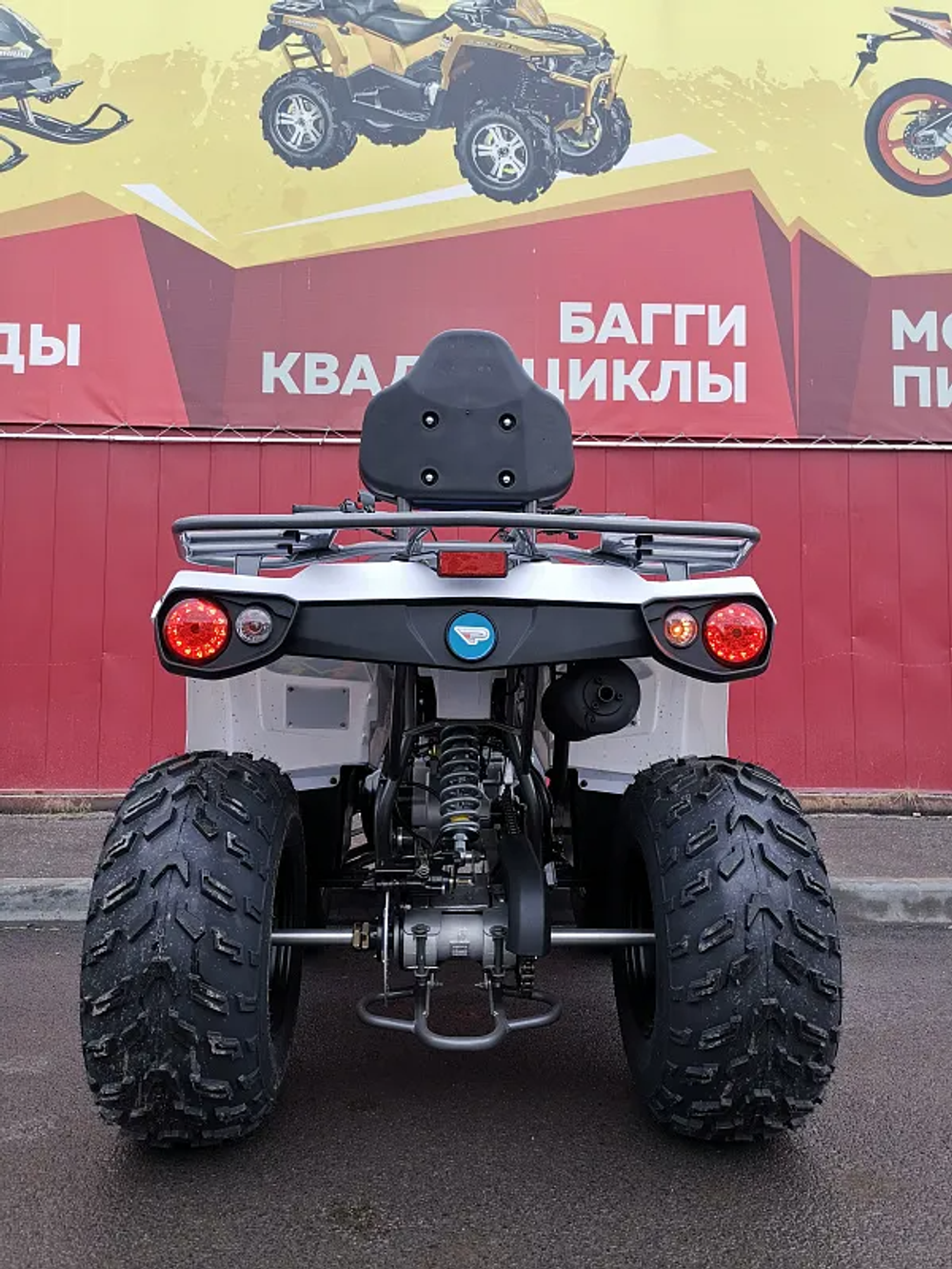 Квадроцикл PROMAX RENEGADE 280 (2025)