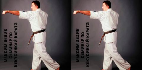 Максим Дедик Семинар по кёкусинкай каратэ [Kyokushin karate, DVDRip] 2005 г