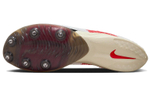 Кроссовки Nike Air Zoom Victory "Eliud Kipchoge"