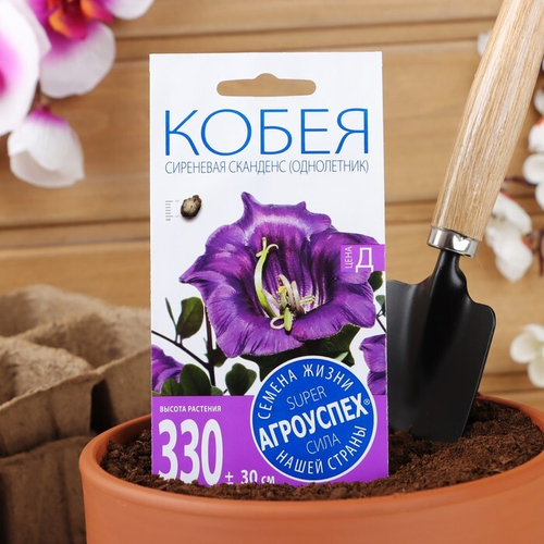СЕМЕНА КОБЕЯ СКАНДЕНС СИРЕНЕВАЯ,  АГРОУСПЕХ 0,25Г