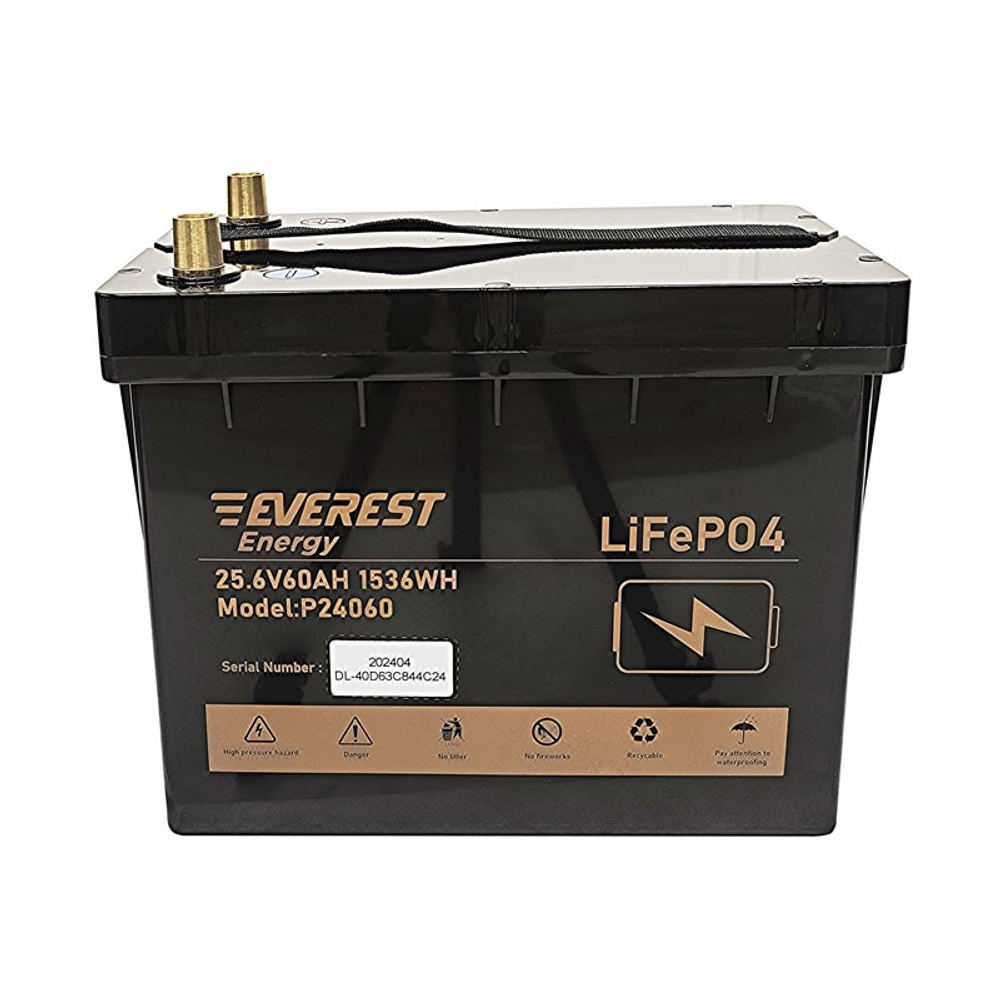 Тяговая аккумуляторная батарея Everest LFP-24V60Аh-PRO + LCD + Bluetooth