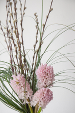 Тонкий свет