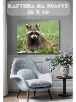 Картина на стену 40 X 50 Енот