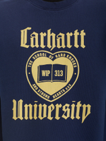 Мужская Толстовка Schooling