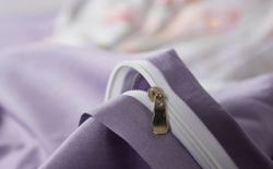 Постельное белье семейное Luxe Dream Shantie C1006F