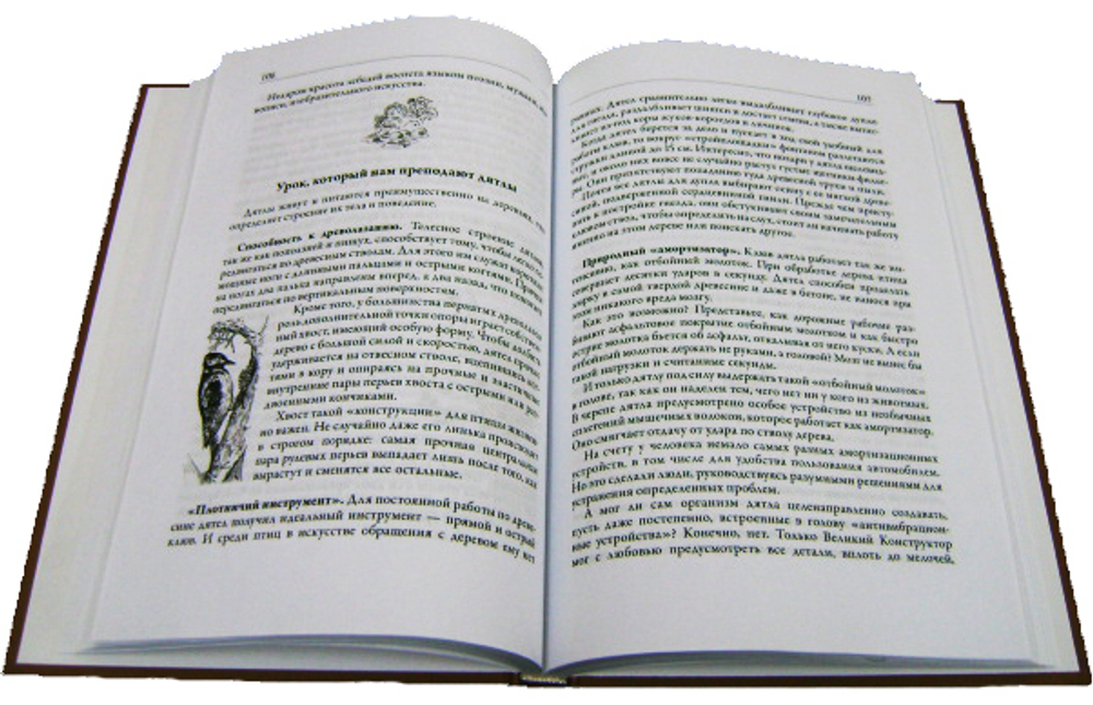 Сотворенная природа глазами биологов