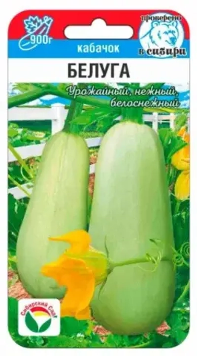 Кабачок Белуга 5шт (Сиб Сад)