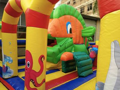 Надувной батут "Тропикана мини", 8.5*6.5*5 м