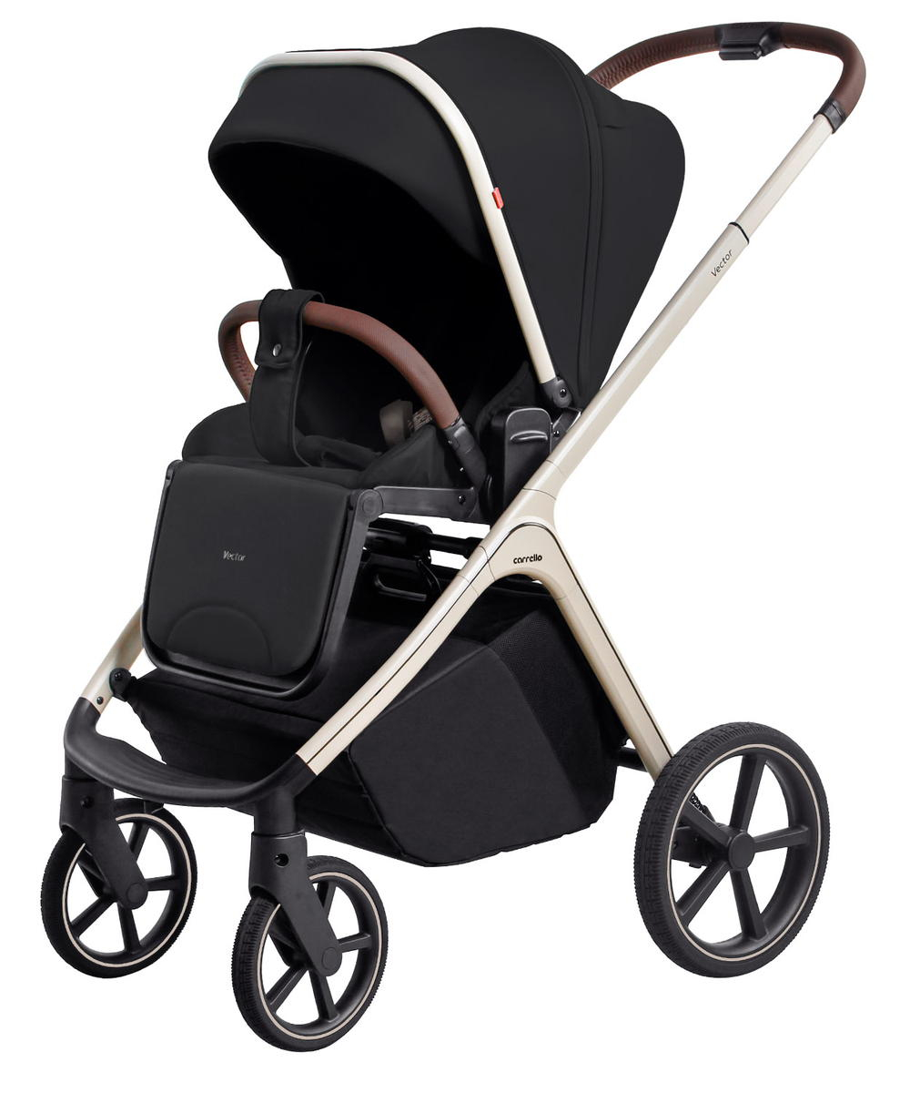 Коляска 2 в 1 Carrello Vector CRL-6550 Pearl Black