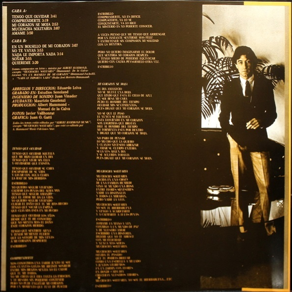 Albert Hammond / Comprenderte (LP)