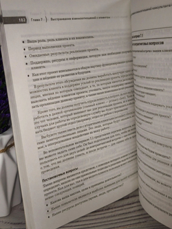 Консалтинговый бизнес. Основы профессионализма