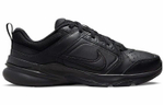 Кроссовки Nike Defy All Day