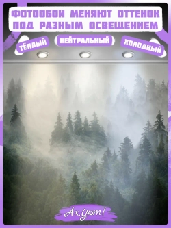 3D Фотообои туманный лес в горах