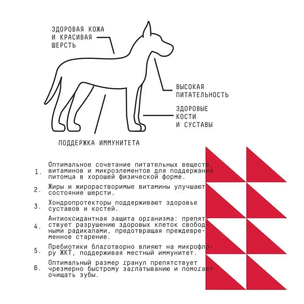 AJO (Айо) Dog Maxi Adult Сухой полнорационный корм с гречкой для взрослых собак крупных пород, 2 кг