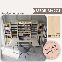 M+2СТ - H1732 ST9 Берёза песочная