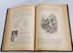 "Из родной природы". Д.Н.Кайгородов. 1907г.