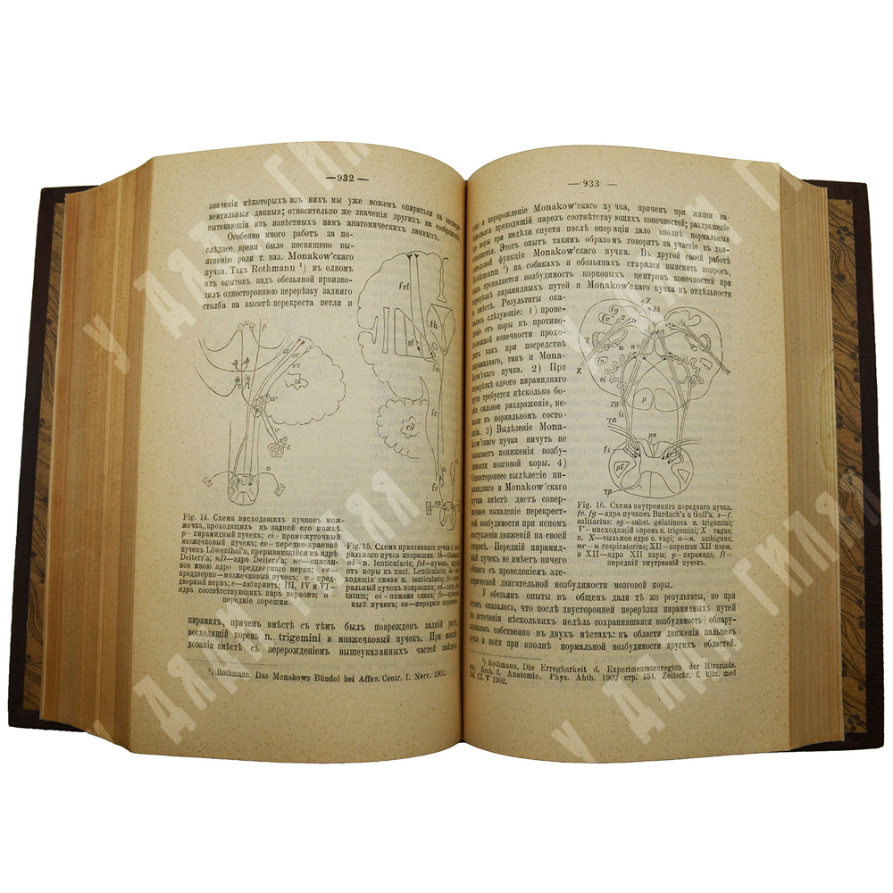 Бехтерев В. М. Основы учения о функциях мозга. Вып. 1-4. СПб.: Изд. Брокгауз и Ефрон, 1903-1905.