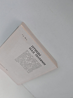 Птицы над полями