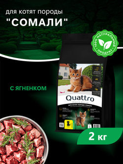 Корм сухой для котят породы Сомали, с ягненком, 2кг, QUATTRO