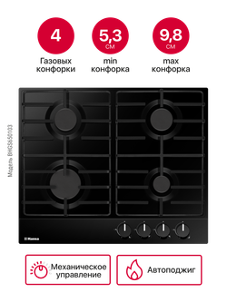 Газовая панель Hansa BHGS650103