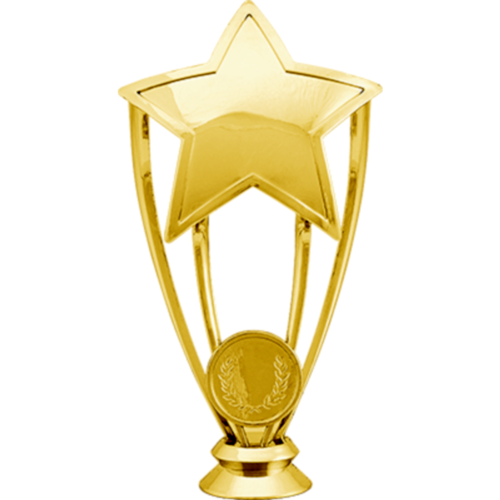 Фигура Звезда 2614-145-100