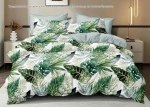 Постельное белье 2,0 поплин Павлайн Sweet Sleep Тропики с 2 нав. 50*70